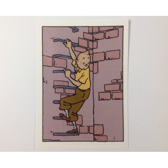 Carte - Tintin grimpe